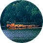 湿地风光