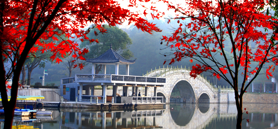 君山岛风景